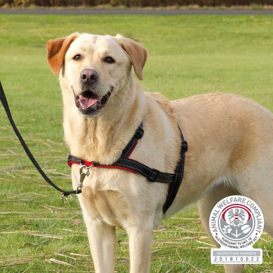 Trixie Trainingsgeschirr Lead'n'Walk Soft - M-L - Trixie