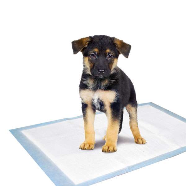 Karlie Flamingo Puppy Pads Trainingsmatten - 35 x 45 cm / 10 Stk - Karlie