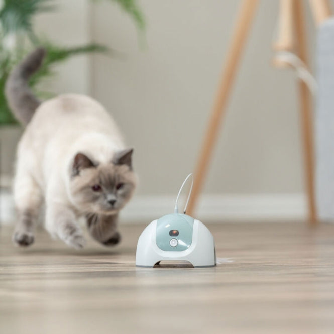 Trixie Katzenspielzeug CATCH ME mit Motor/Fernbedienung - Trixie Bild 5