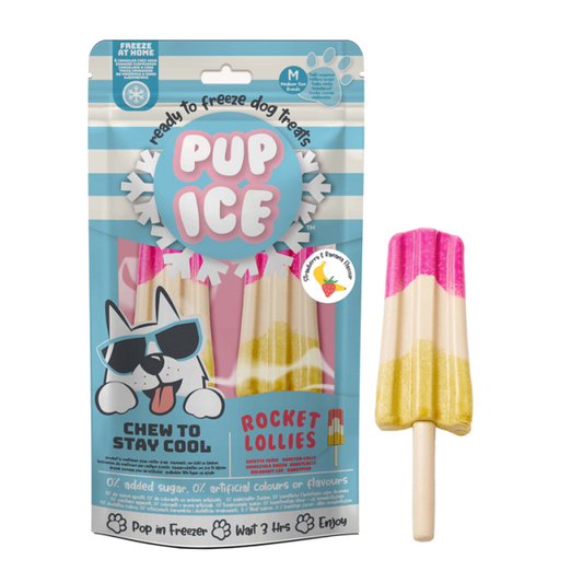 Pup Ice Rocket Lollies Banana Chocolate M - Imaginelles - Pup Ice