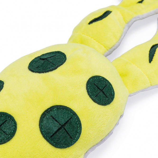 Beeztees Hide And Seek Frosch - Beeztees Bild 3