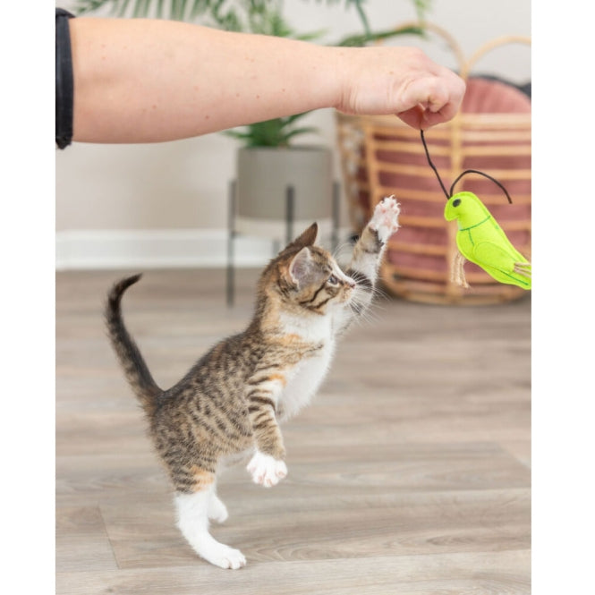 Trixie Insekten aus Filz mit Catnip - Trixie Bild 5