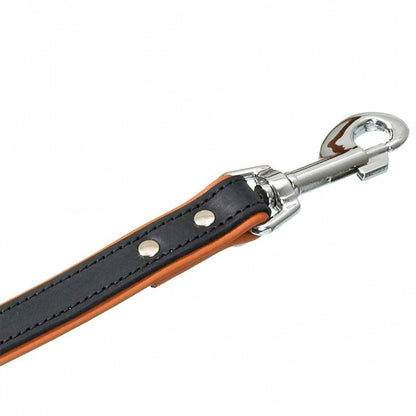 Karlie Rodeo Leine genietet, 16mm 100cm - Karlie Bild 2