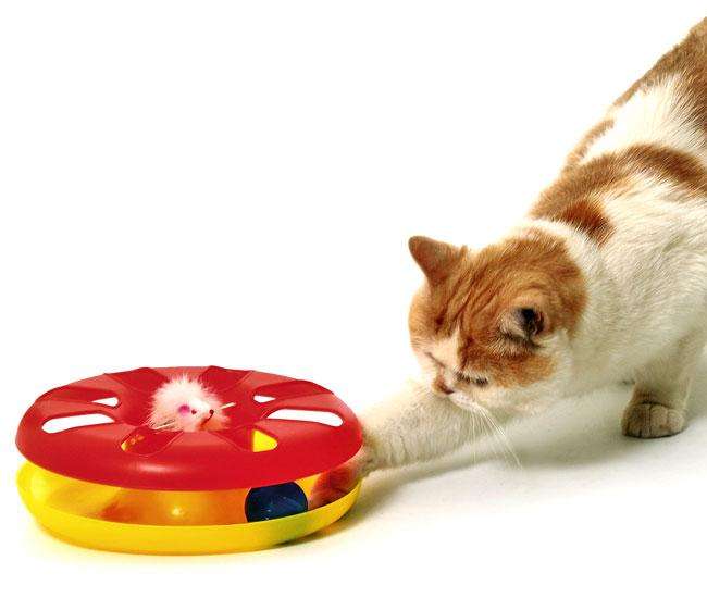 Karlie Kitty ROUND ABOUT Spielzeug - Karlie