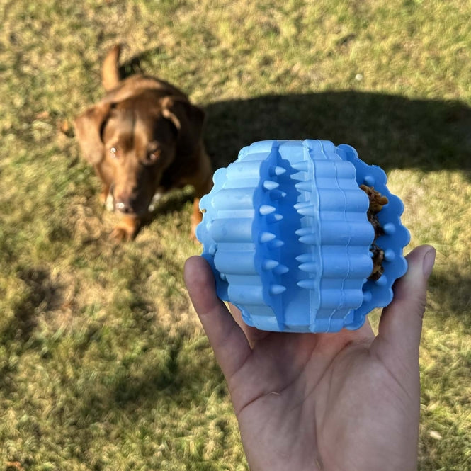 Duvoplus Ball Griplay Dental Rippe - DUVO