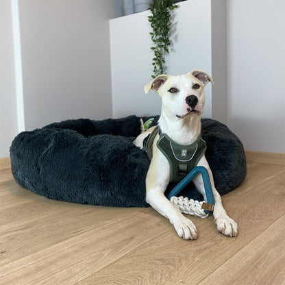 D&D Hundespielzeug Milan - D&D Home Bild 4