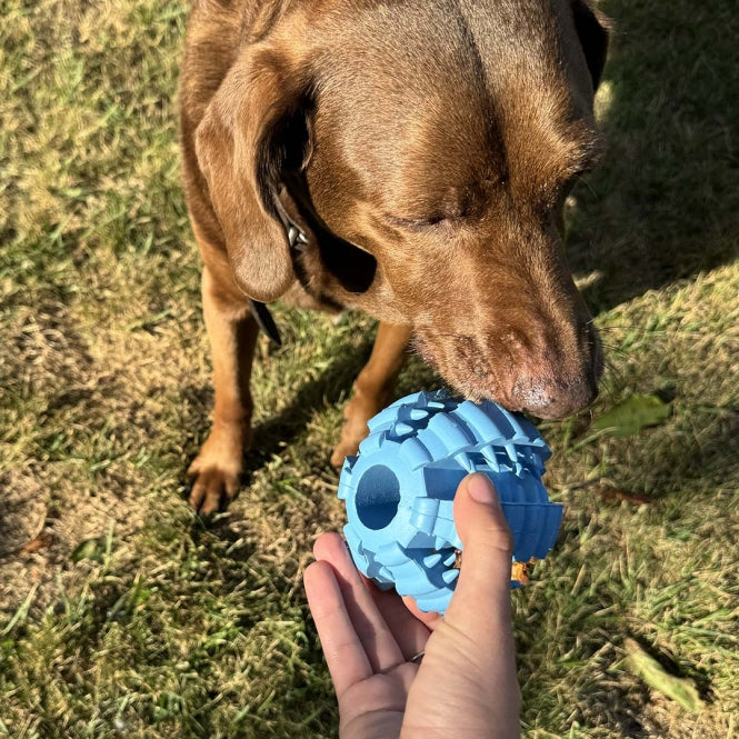 Duvoplus Ball Griplay Dental Rippe - DUVO