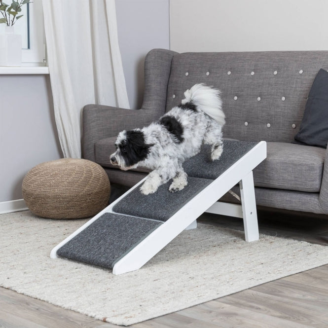 Trixie Rampe mit ausklappbaren Stufen - Trixie