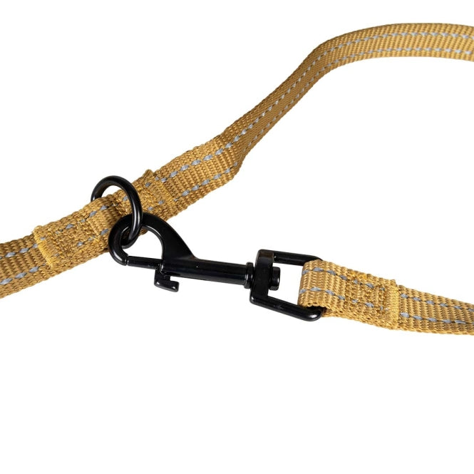Duvoplus Trainingsleine EXPLOR Ultimate Fit Classic - DUVO