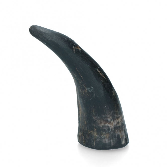 Viking Whole Horn -  Bild 2