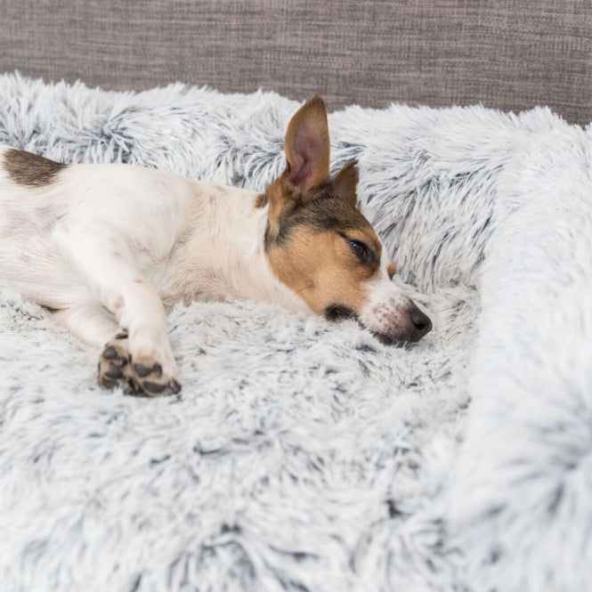 Trixie Polster-Schondecke Harvey - Trixie
