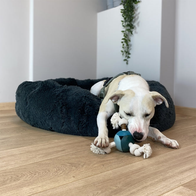 D&D Hundespielzeug Levi - D&D Home Bild 4