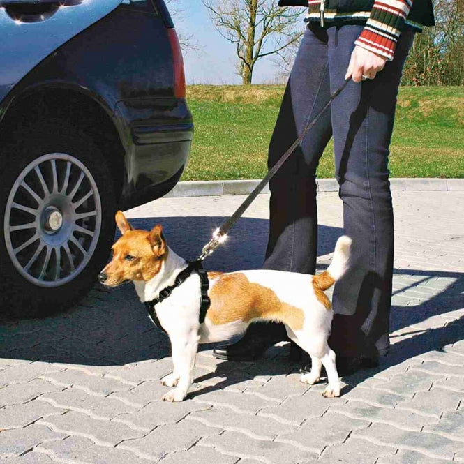 Trixie Auto-Sicherheitsgeschirr - Trixie