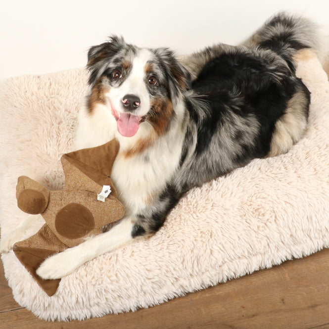 D&D Hundespielzeug Kayli Chenille - D&D Home Bild 4