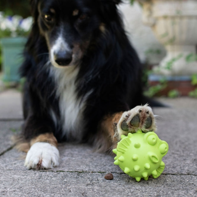 PROCYON TPR Snackball Fisch - PROCYON Bild 3