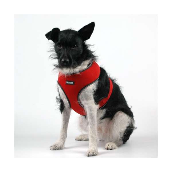 Pet-Star Softgeschirr / Netzgeschirr - Rot - - Pet-Star