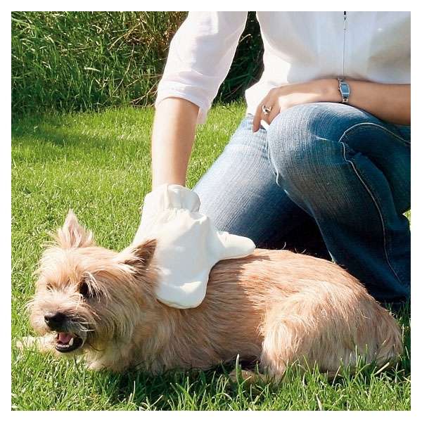 Trixie Fellpflege-Handschuh - Trixie
