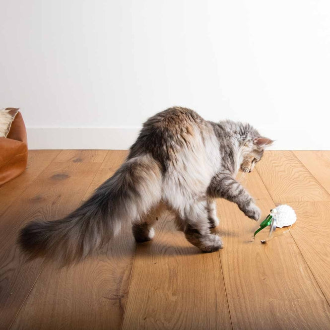EBI Cat Toy Mouse on the move - EBI Bild 6
