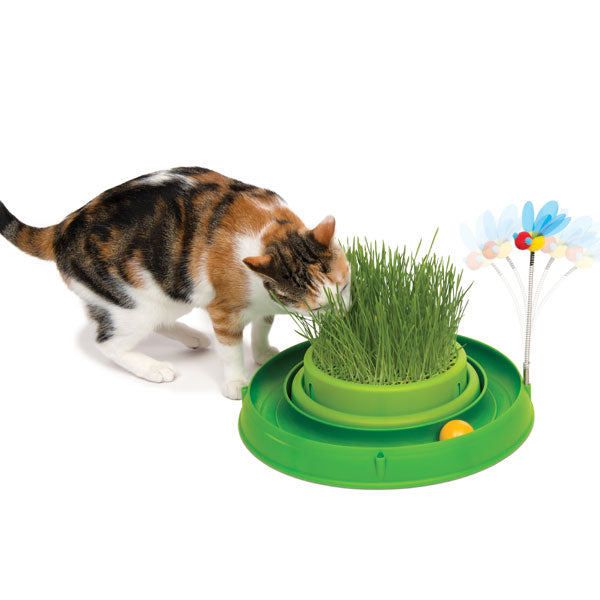 CATIT Play-n-Scratch mit Grasgarten - CATIT