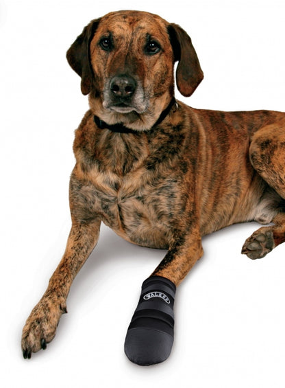 Trixie Walker Care Pfotenschutz-Stiefel - Trixie