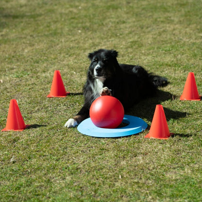 PROCYON Dog Golf Set - PROCYON Bild 4