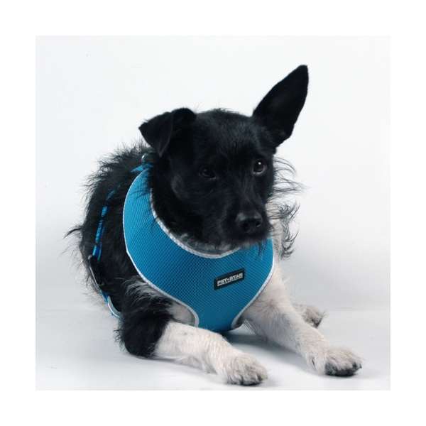 Pet-Star Softgeschirr / Netzgeschirr - Pet-Star