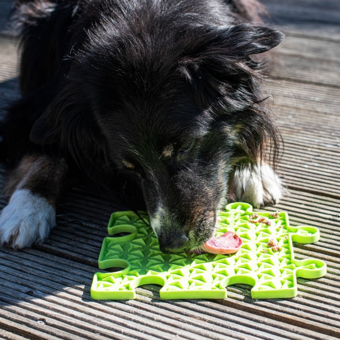 PROCYON Ladi Mat Schleckplatte Puzzle - PROCYON Bild 5