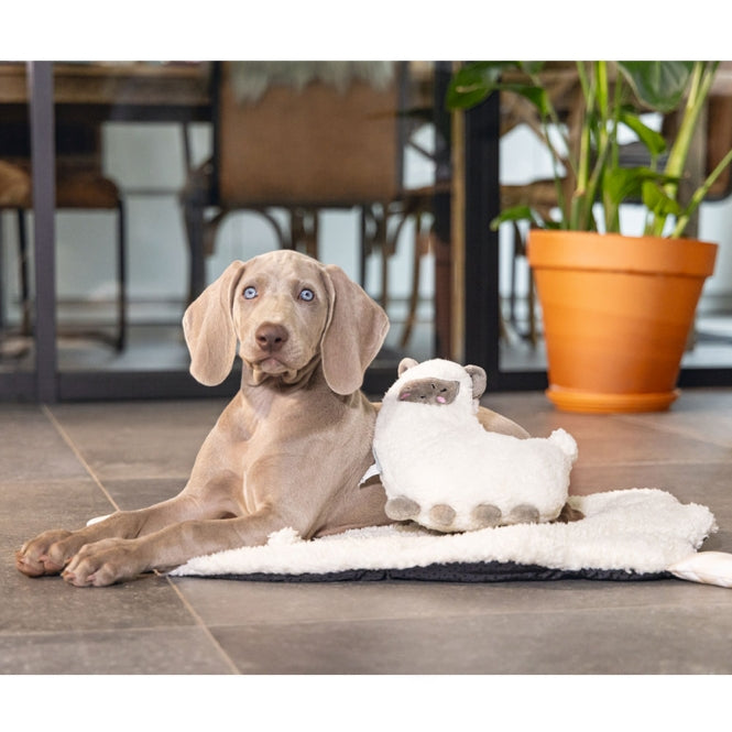 Beeztees Puppy Lama - Beeztees Bild 2