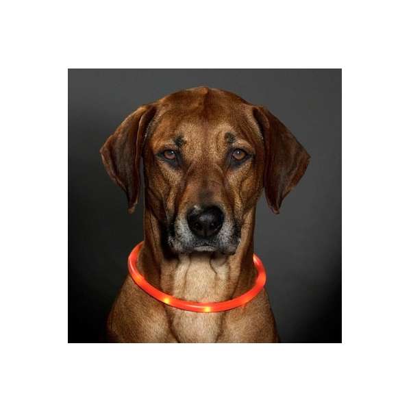 Karlie Visio Light LED-Leuchtschlauch mit USB - Karlie