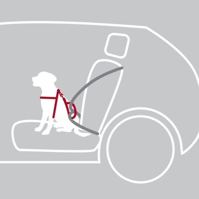 Trixie Auto-Sicherheitsgeschirr Dog Protect - Trixie