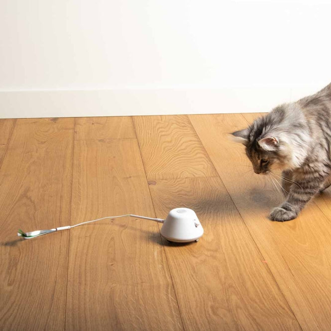 EBI Cat Toy Twisting Tank - EBI Bild 6
