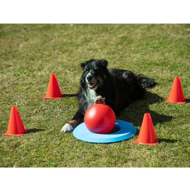 PROCYON Dog Golf Set - PROCYON Bild 3