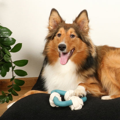 D&D Hundespielzeug Milou - D&D Home Bild 3