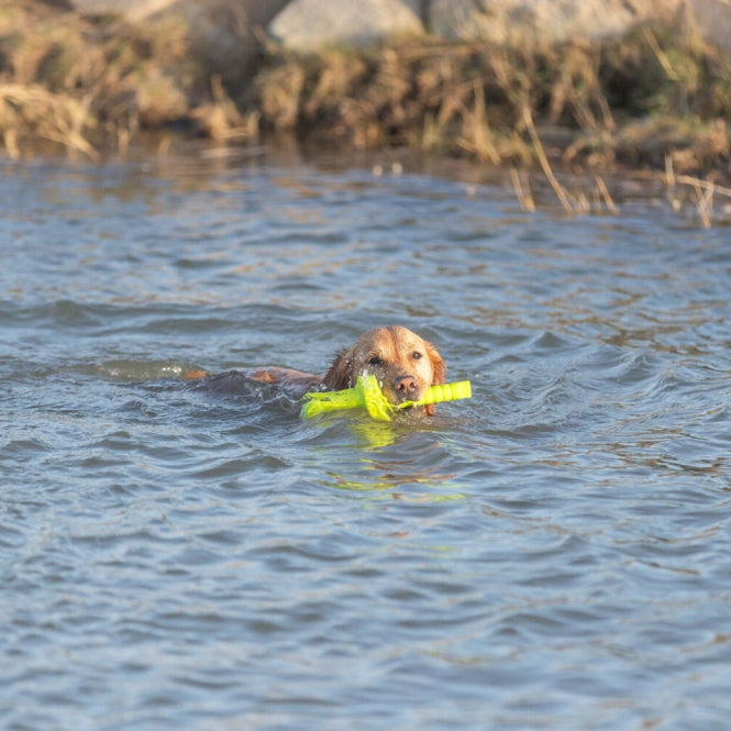 Trixie Aqua Toy MOT®-Aqua - Trixie Bild 5