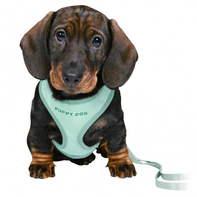 Trixie Junior Welpen-Softgeschirr mit Leine - Trixie