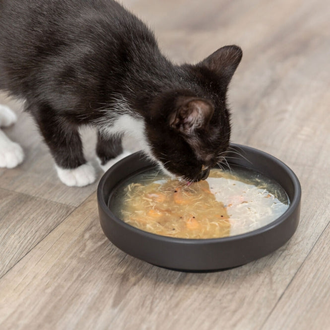 Trixie Kittis Shrimp Soup - Trixie Bild 4