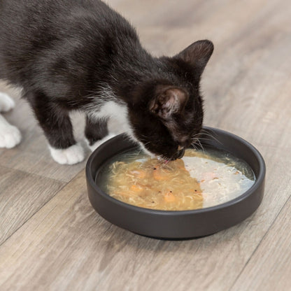 Trixie Kittis Shrimp Soup - Trixie Bild 4
