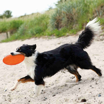 Trixie TPR Dog Disc, schwimmfähig - Trixie