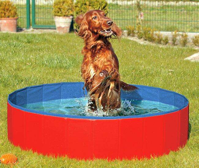Karlie DOGGY POOL der Swimmingpool für Hunde - Rot-Blau - 120 cm - Karlie