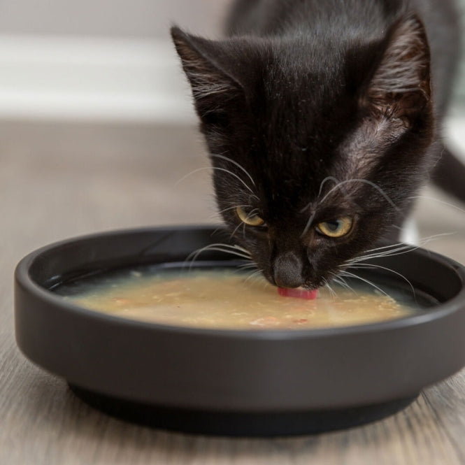 Trixie Kittis Shrimp Soup - Trixie Bild 5