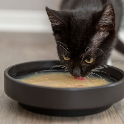 Trixie Kittis Shrimp Soup - Trixie Bild 5
