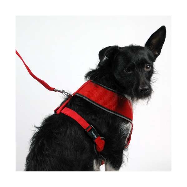 Pet-Star Softgeschirr / Netzgeschirr - Pet-Star