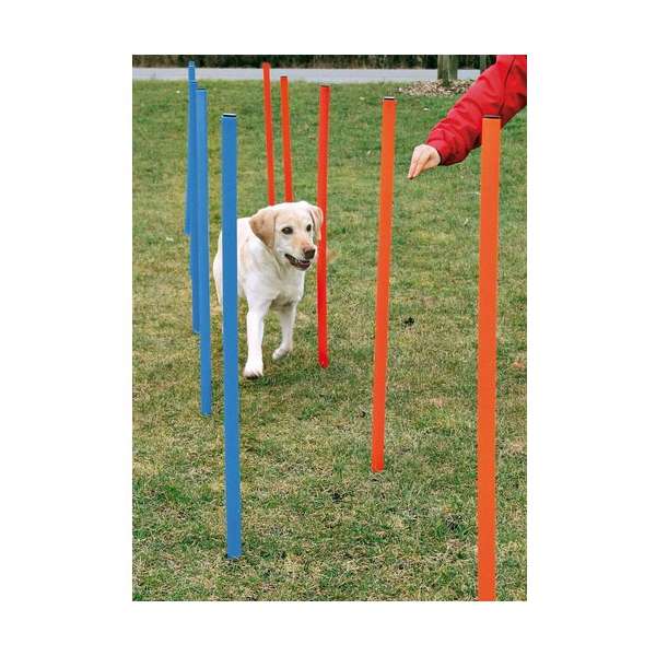 Trixie Agility Slalom - Trixie Bild 2