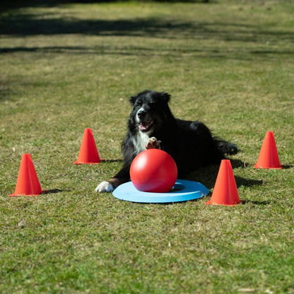 PROCYON Dog Golf Set - PROCYON Bild 2