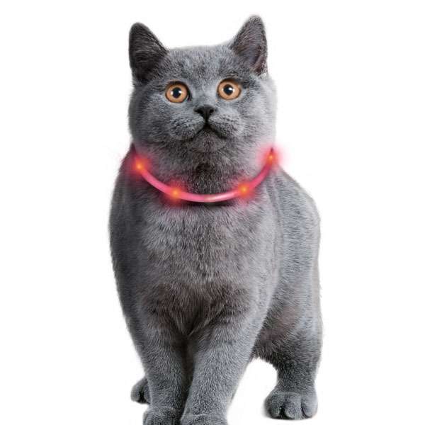 Karlie Visio Light Cat LED-Schlauch mit USB - Karlie
