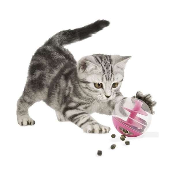 CATIT Snackball für Katzen oder kleine Hunde - Hagen