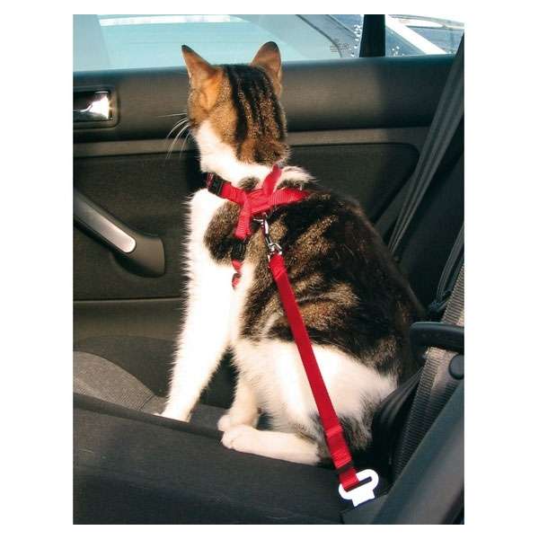 Trixie Sicherheitsgurt für Katzen - Trixie