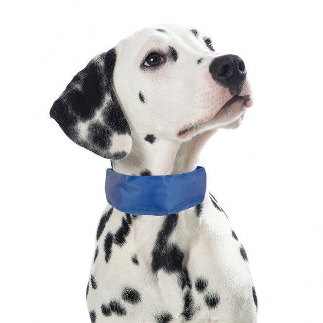 PROCYON Kühl-Bandana für Hunde - L - PROCYON