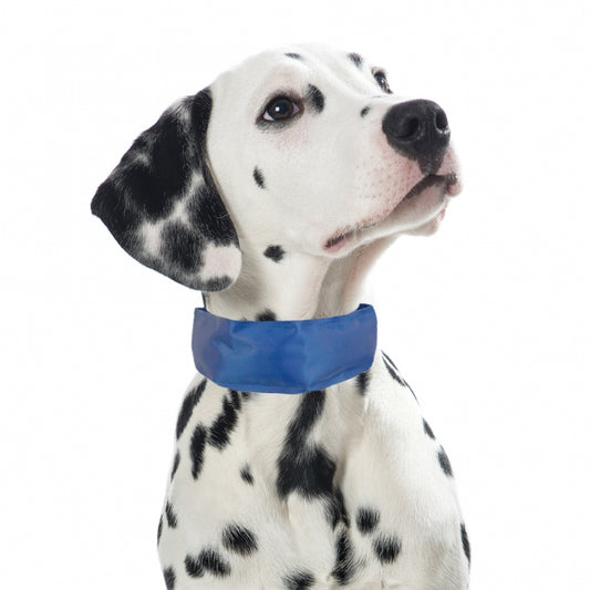 PROCYON Kühl-Bandana für Hunde - L - PROCYON