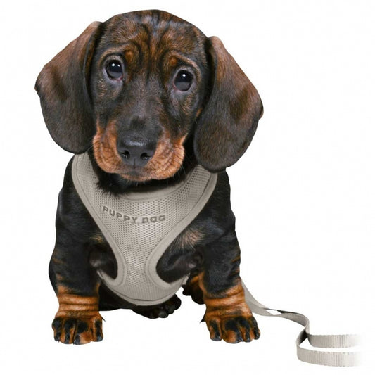 Trixie Junior Welpen-Softgeschirr mit Leine - Trixie